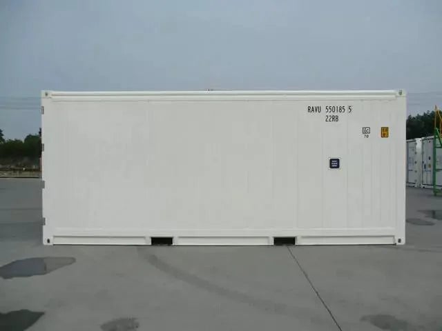 20-Fuß-Kühlcontainer (Reefer) – Gebraucht – PTI-geprüft & Einsatzbereit